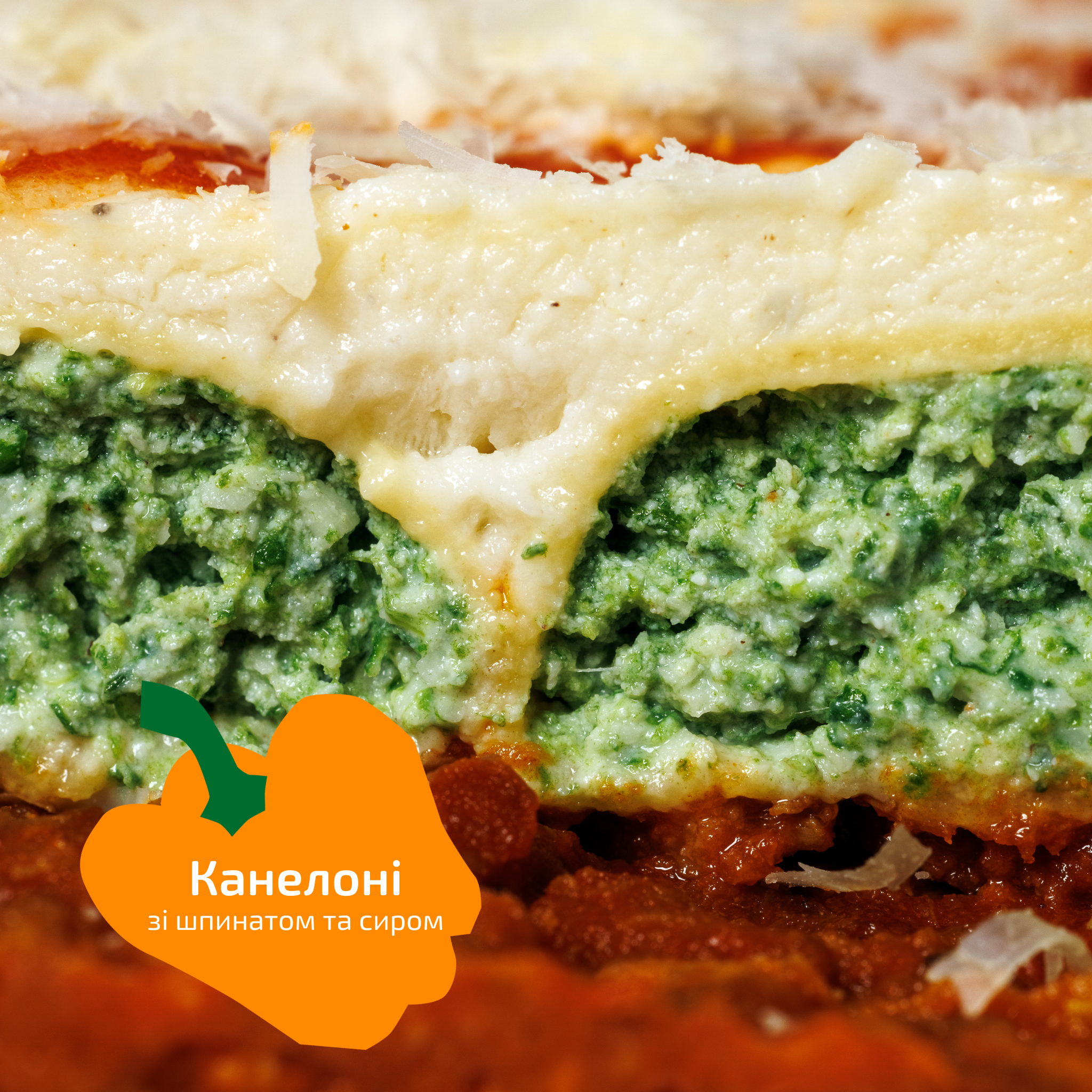 Канелоні зі шпинатом та сиром рікотта